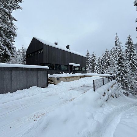 Chalet Dachstein Ramsau am Dachstein Exterior foto